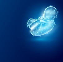 Tüp Bebek (IVF)